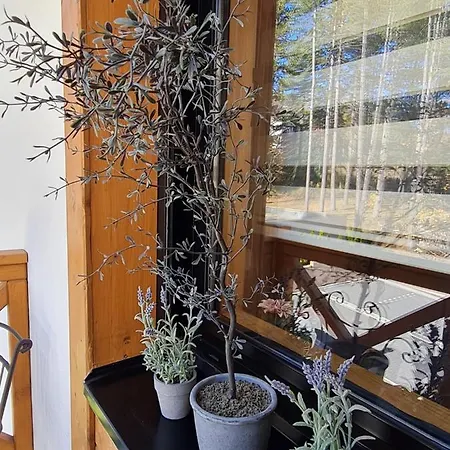 Apartament Amber Gold *